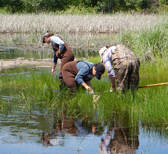 Students taking samples for lab research from a Northwest lake. 