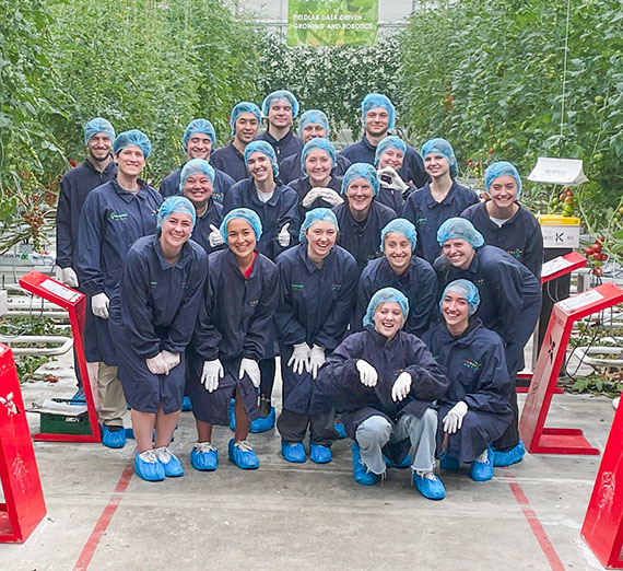 greenhouse